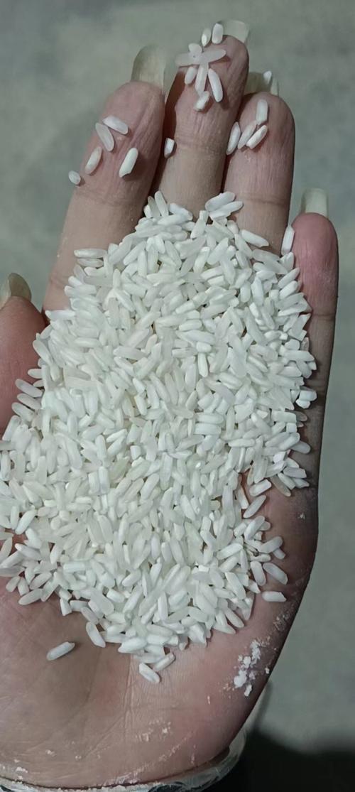 饭堂米香，校园情长